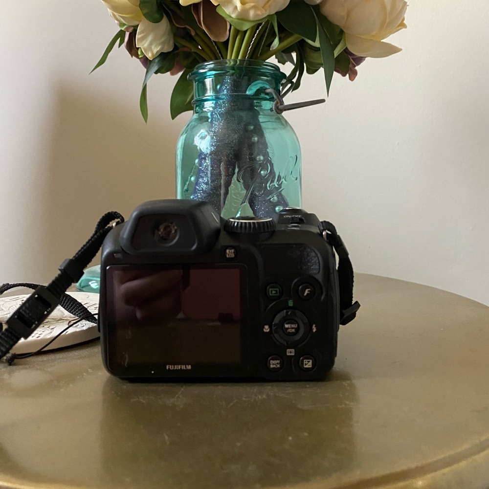 FujiFilm FinePIX S2000HD